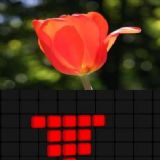 Dwonload Glow Artisan Cell Phone Game